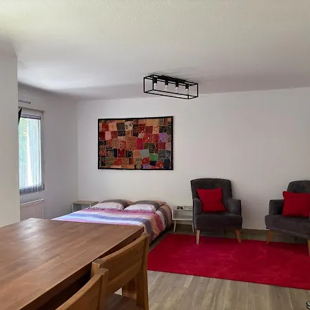 アパート Proche De Bale バルテンハイム