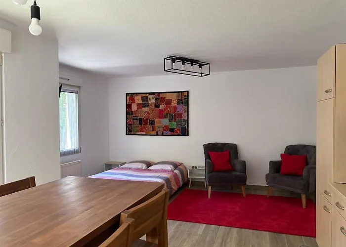 Appartement Proche De Bale Bartenheim