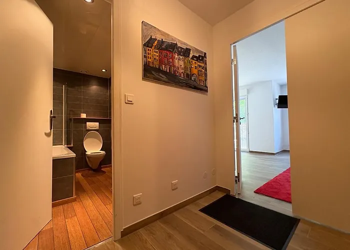 Appartement Proche De Bale